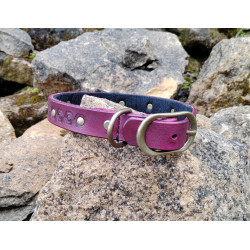 Collier cuir fushia pour chien