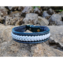 collier pour chien bleu blanc