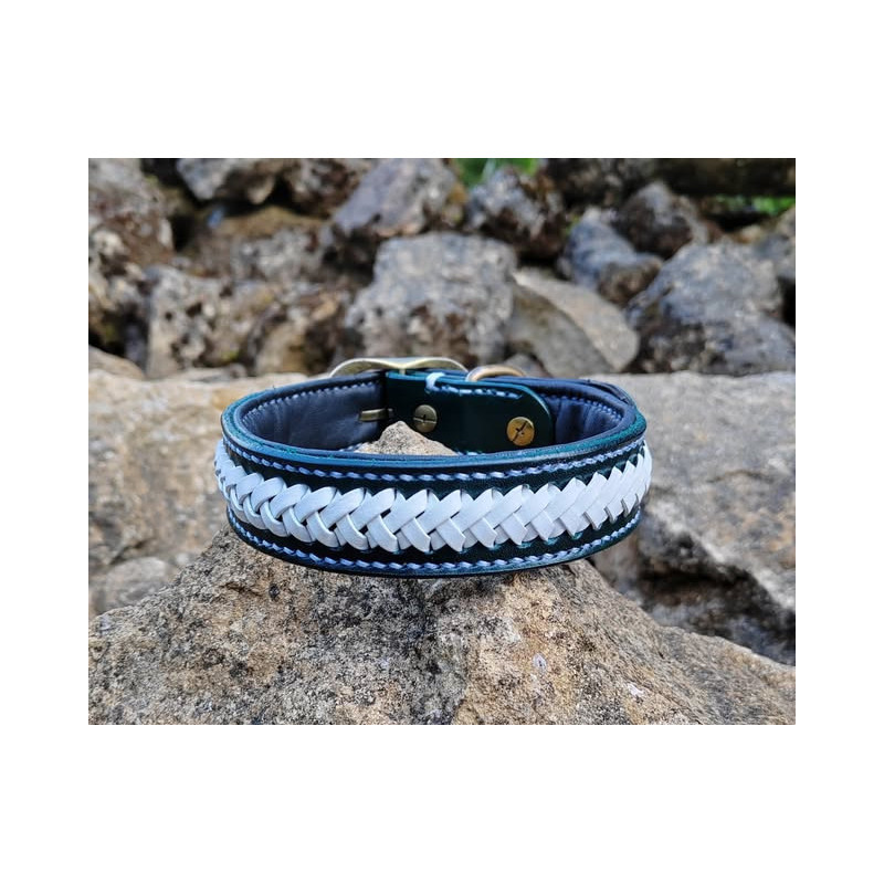 collier pour chien bleu blanc